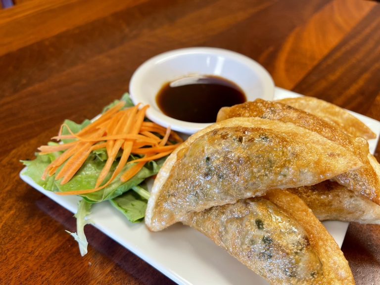 fried dumplings